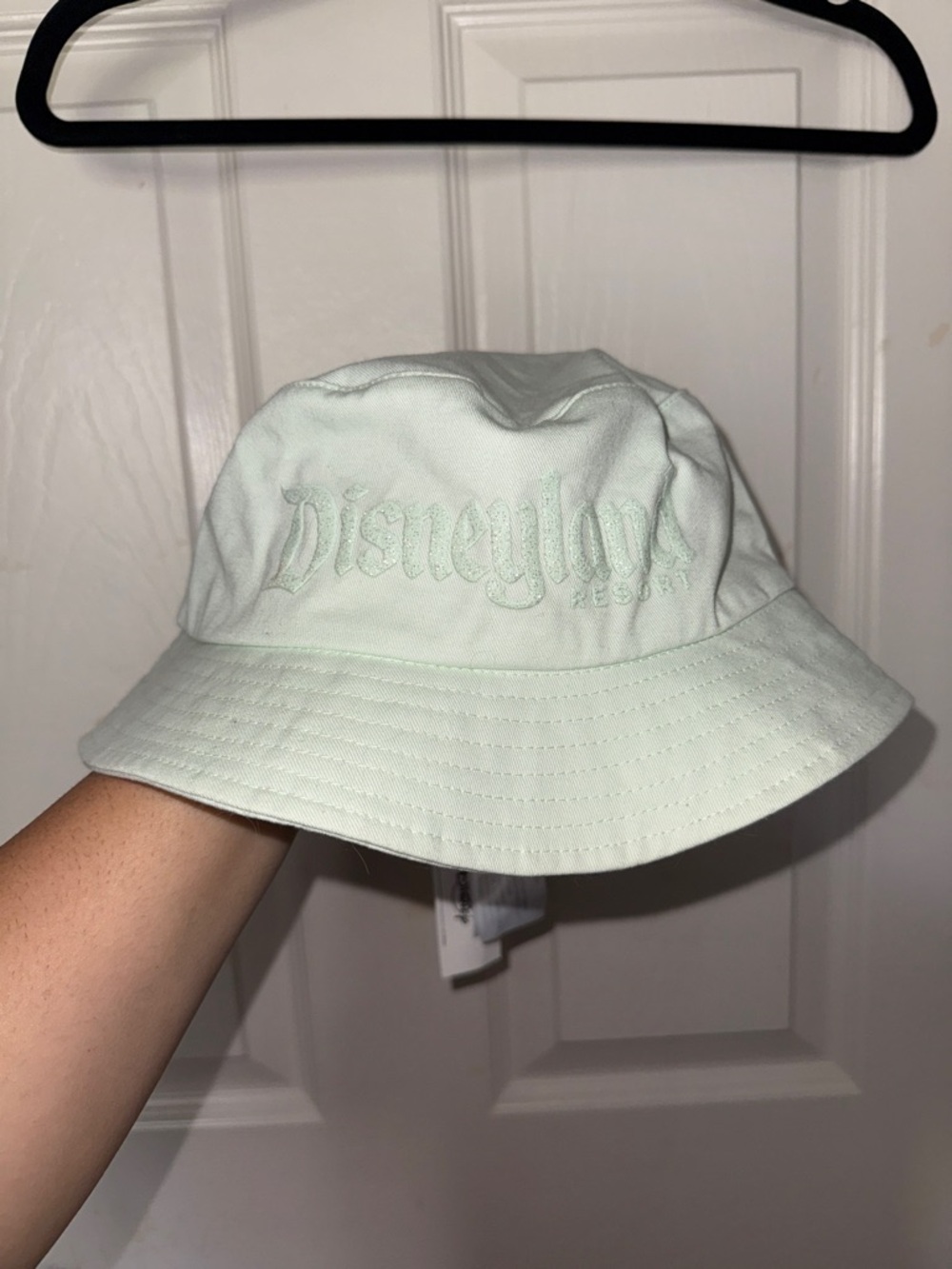 Disney Light Mint Bucket Hat for